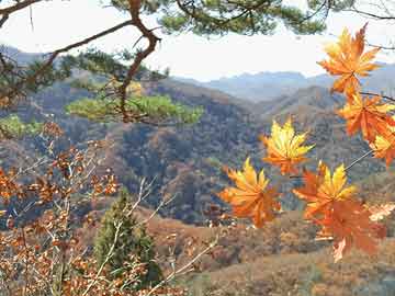 2015欧冠巅峰对决：巴萨三冠王荣耀加冕